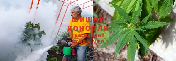 амф Нягань