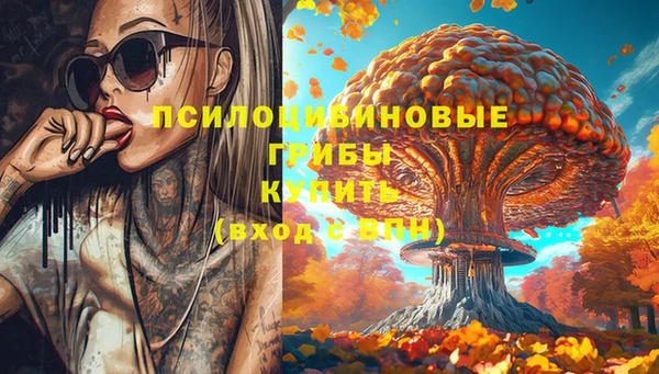 стафф Волоколамск