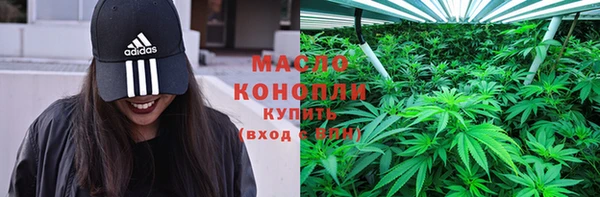 мдпв Рославль